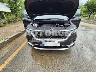 2020, Kia / Carnival, 22471 км., gas, 3500 куб.см.