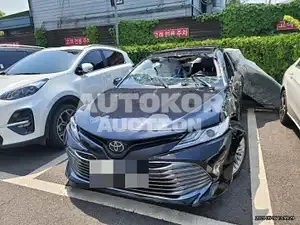 2018, Toyota / Camry, VIN: JTNB11HK1J3069616, 20000 км., gas, 2487 куб.см.