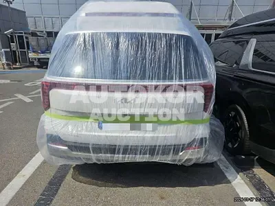 2025, Kia / Carnival, 14764 км., gas, 3500 куб.см.