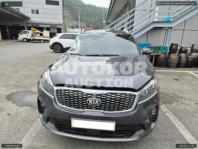2018, Kia / Sorento, VIN: KNAPG81ADKA501661, 163431 км., diesel, 1995 куб.см.