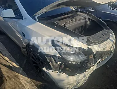 2022, Tesla / Model Y, electric