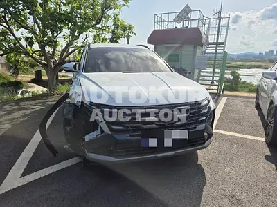 2025, Hyundai / Tucson, 841 км., gas, 1600 куб.см.