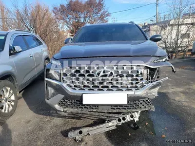 2021, Hyundai / Santa FE, VIN: KMHS381HGMU349664, 30000 км., diesel