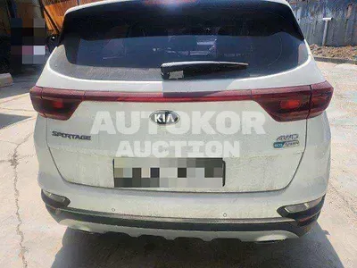 2019, Kia / Sportage, VIN: KNAPM813DKK736372, 43695 км., diesel