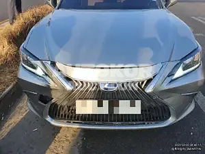 2019, Lexus / ES 300, VIN: JTHB21B10K2060073, 77075 км., hybrid