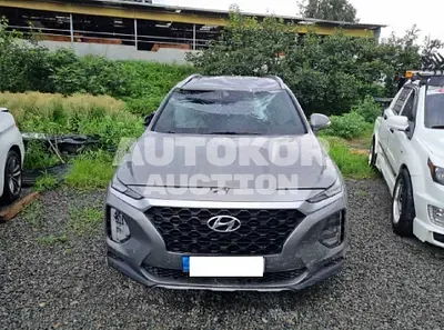 2019, Hyundai / Santa FE, VIN: KMHS281BBKU075741, diesel
