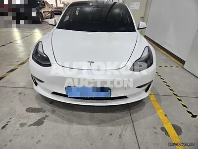 2021, Tesla / Model 3, 66417 км., electric