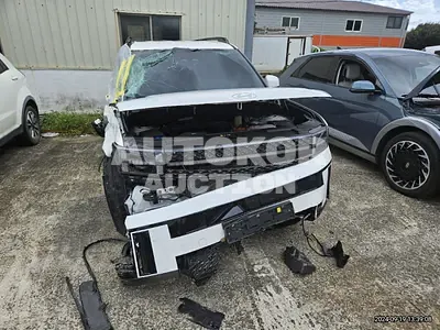 2024, Hyundai / Santa FE, 20000 км., hybrid