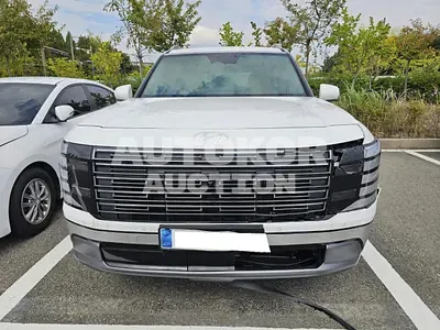 2025, Hyundai / Palisade, VIN: KMHRH81ABTU015206, 8768 км., hybrid