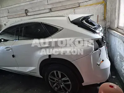 2016, Lexus / nx300h, 54982 км., hybrid, 2494 куб.см.