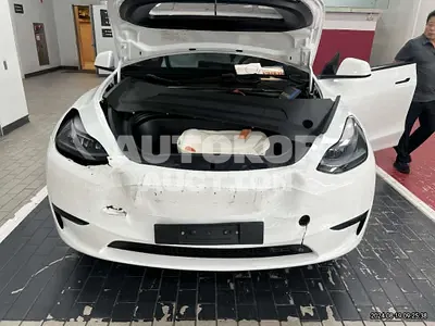 2024, Tesla / Model Y, VIN: LRWYGCFSXRC159187, 30000 км., electric