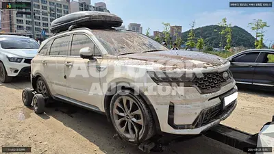 2020, Kia / Sorento, VIN: KNARK81BGMA066785, 72576 км., diesel, 2151 куб.см.