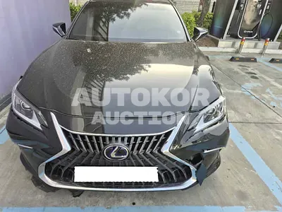 2021, Lexus / es300h, VIN: JTHBA1C1XN2008195, hybrid, 2487 куб.см.