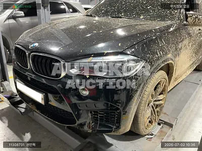 2018, BMW / X5 M, VIN: WBSKT610XJ0Z73088, gas, 4395 куб.см.