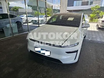 2025, Tesla / Model Y, VIN: LRWYGCFJ5SC046972, 679 км., electric