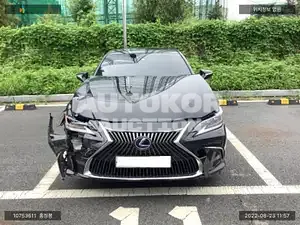 2020, Lexus / ES 300, VIN: JTHB21B10L2097092, hybrid