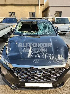 2019, Hyundai / Santa FE, VIN: KMHS281BBLU262622, diesel