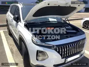 2018, Hyundai / Santa FE, VIN: KMHS381BBKU038283, diesel