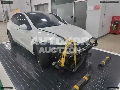 2025, Tesla / Model Y, VIN: LRWYGCEK1SC347541, electric, 1 куб.см.