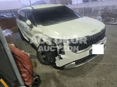 2026, Kia / Carnival, hybrid, 1600 куб.см.