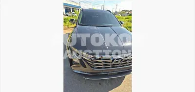 2023, Hyundai / Tucson, 20325 км., hybrid, 1598 куб.см.