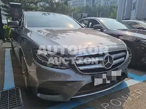 2020, Mercedes-Benz / E 300, VIN: W1KZF4KB5LA829002, unknown