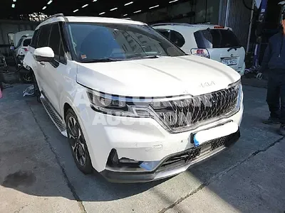 2022, Kia / Carnival, VIN: KNANE813BNS134075, gas
