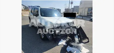 2019, Jeep / Renegade, 59524 км., gas, 2360 куб.см.