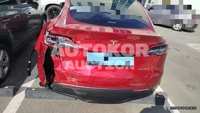 2024, Tesla / Model Y, 1672 км., electric