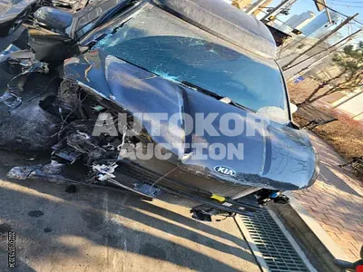2021, Kia / Carnival, VIN: KNANE813BMS089557, 18486 км., gas