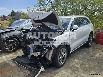 2021, Kia / Sorento, VIN: KNARL81BGMA059271, 74424 км., diesel, 2200 куб.см.