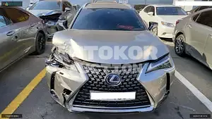 2019, Lexus / UX 250, VIN: JTHU9JBH3K2004565, hybrid