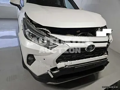 2020, Toyota / RAV4, 115176 км., hybrid