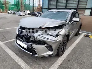 2019, Lexus / NX 300, VIN: JTJBJRBZ0K2124361, hybrid