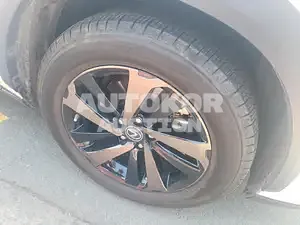 2019, Lexus / NX 300, unknown