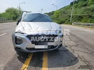 2019, Hyundai / Santa FE, VIN: KMHS281BBLU260869, 10 км., diesel