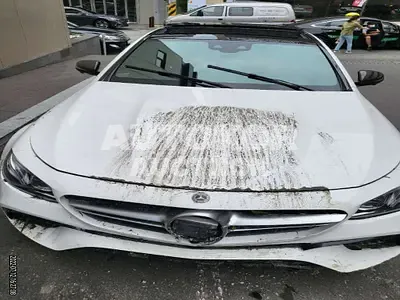 2018, Mercedes-Benz / E 63 AMG, VIN: WDDZF8JB1JA460838, gas