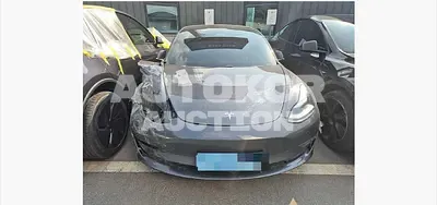 2020, Tesla / Model 3, 237341 км., electric