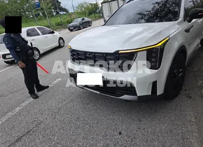 2025, Kia / Sorento, VIN: KNARH81GDSA413388, 3000 км., hybrid