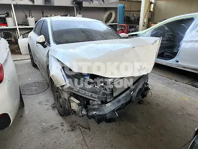 2021, Kia / K5, VIN: KNAG541BBMA116111, lpg