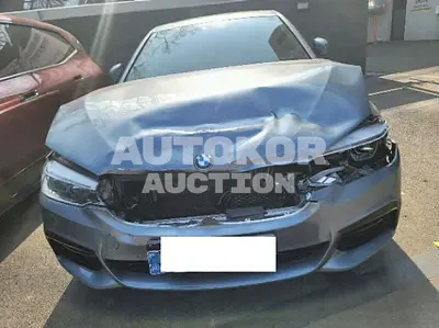 2019, BMW / 530, 75363 км., gas