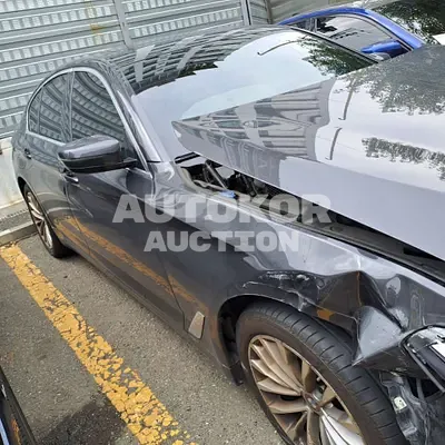 2021, BMW / 520, VIN: WBA11BH04MCH49762, gas
