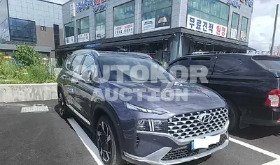 2021, Hyundai / Santa FE, VIN: 2KMHS381HGMU39633, diesel