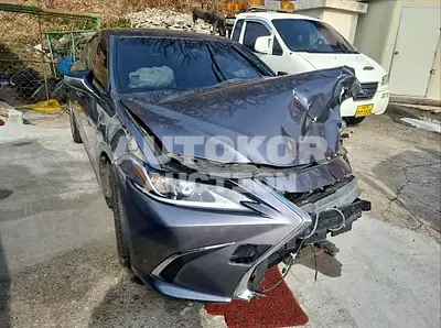2021, Lexus / ES 300, VIN: JTHBA1C15M2005221, hybrid