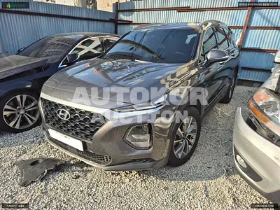 2019, Hyundai / Santa FE, VIN: KMHS281BBKU177413, diesel, 1995 куб.см.