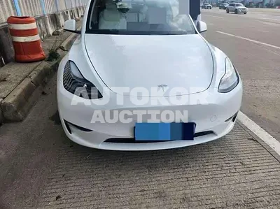 2024, Tesla / Model Y, 1200 км., electric