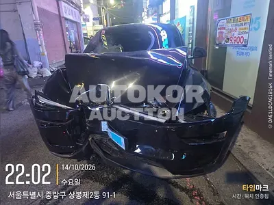2026, Tesla / Model Y, VIN: LRWYGCFJ9TC655225, electric, 1 куб.см.