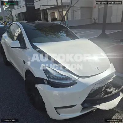 2021, Tesla / Model Y, VIN: 5YJYGDED5MF237401, 30756 км., electric, 1 куб.см.