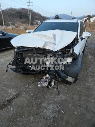2019, Hyundai / Palisade, VIN: KMHR381ABKU061856, 121952 км., diesel, 2200 куб.см.