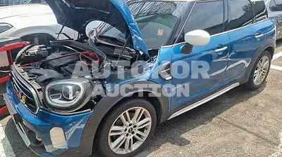 2021, MINI / Countryman, VIN: WMW31BR0XM3M33092, gas